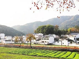 讓鄉村旅游時刻與文明相伴