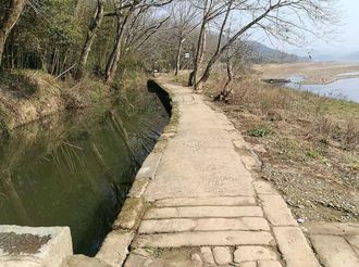 【新春走基層】煙村：打造“詩(shī)意盎然”的畫(huà)里鄉(xiāng)村