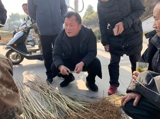 【新春走基層】為大山添綠