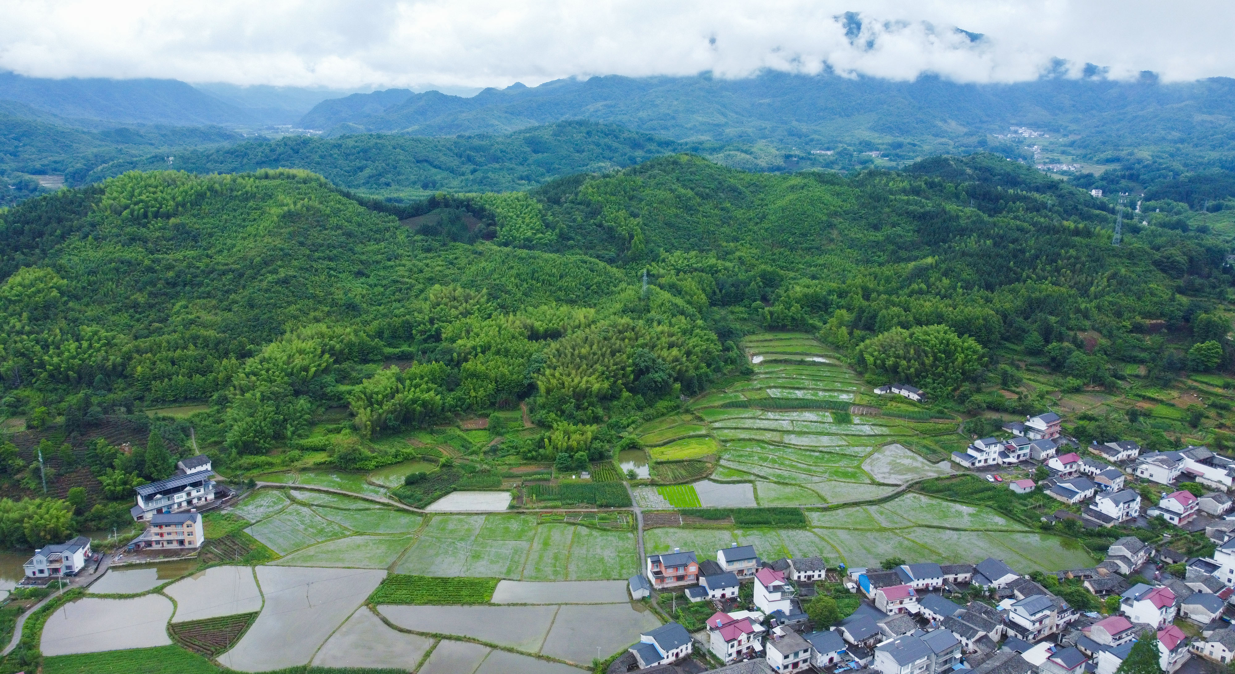 雨后鄉(xiāng)村清新如畫