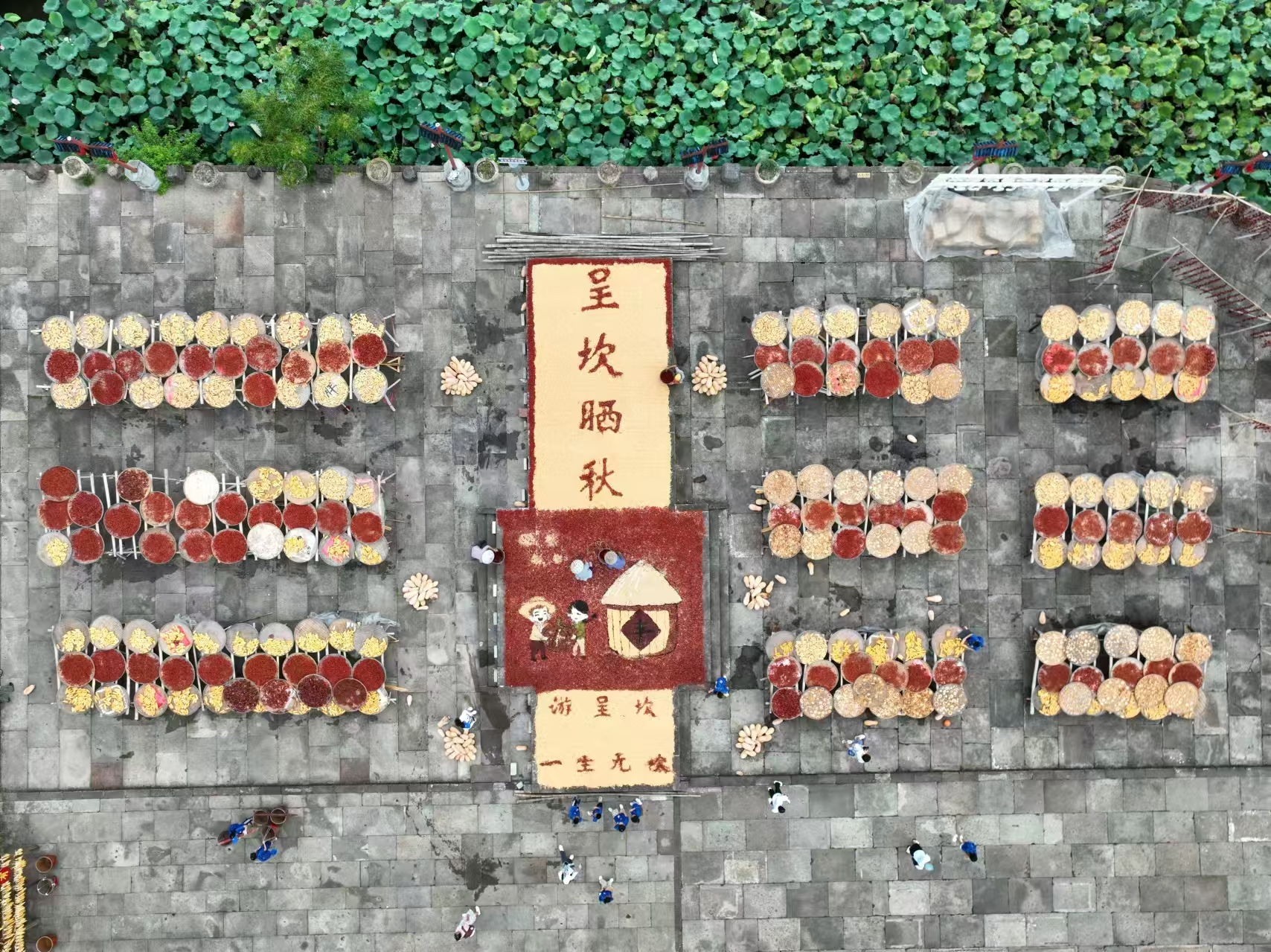 呈坎曬秋