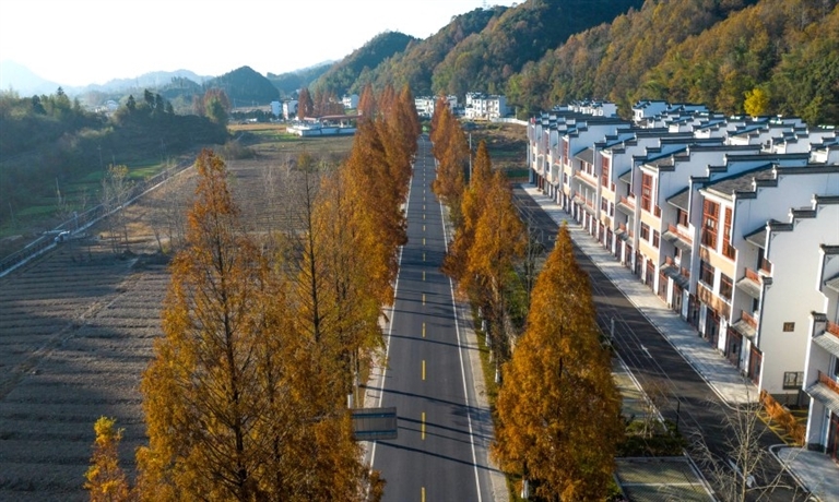 漁亭鎮(zhèn)：一個(gè)可以停一下的地方