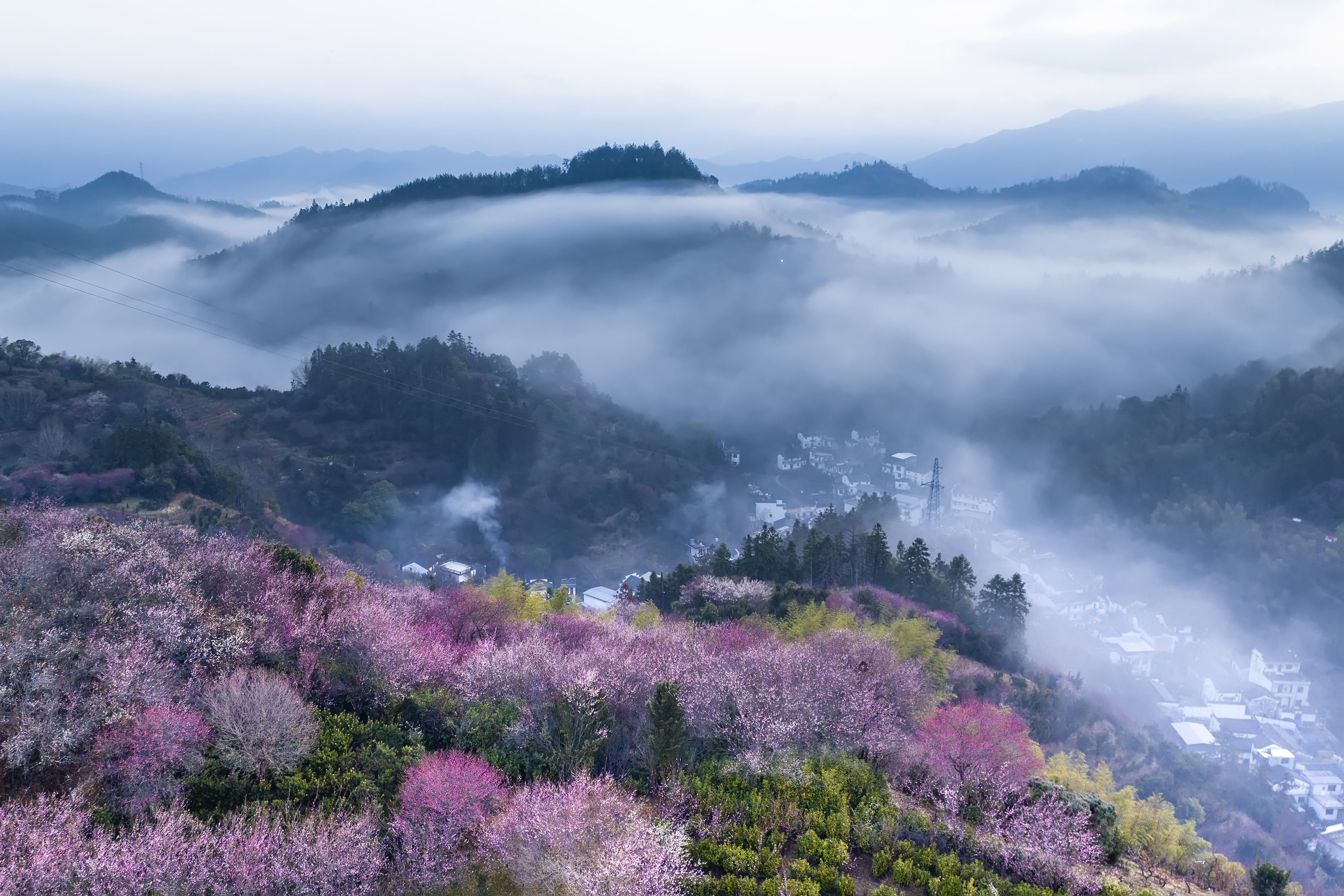 賣花漁村春意濃