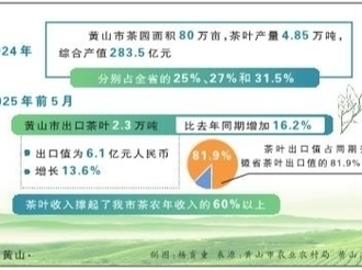 黃山茶，如何煥發“第二春”？ 